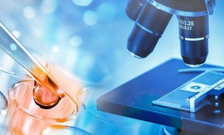 胚胎移植20天会有哪些变化