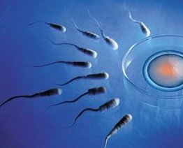 2026哈尔滨试管婴儿排名，附费用，成功率介绍