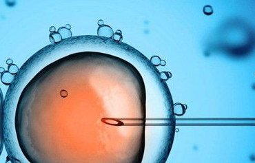 宫外孕手术切除了输卵管后,接受试管婴儿治疗能怀孕吗？