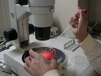 宁德有可以做试管婴儿的私立机构吗？有哪些需要注意的事项？