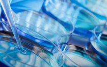 在乌鲁木齐做试管婴儿成功率高吗？影响成功率的因素有哪些？