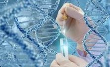 热烘烘的感觉和暖流是否表示胚胎着床？