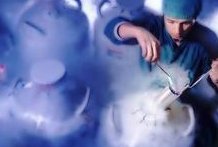 试管婴儿七天能看结果吗，试管后7天可以验孕吗！