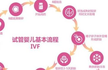 试管婴儿移植前红细胞偏高是怎么回事？